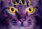 Warrior Cats (Staffel 2 Band 1) (Mitternacht)