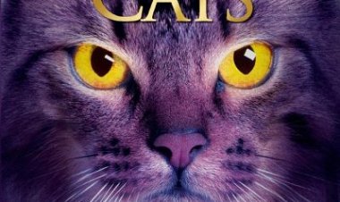 Warrior Cats (Staffel 2 Band 1) (Mitternacht)